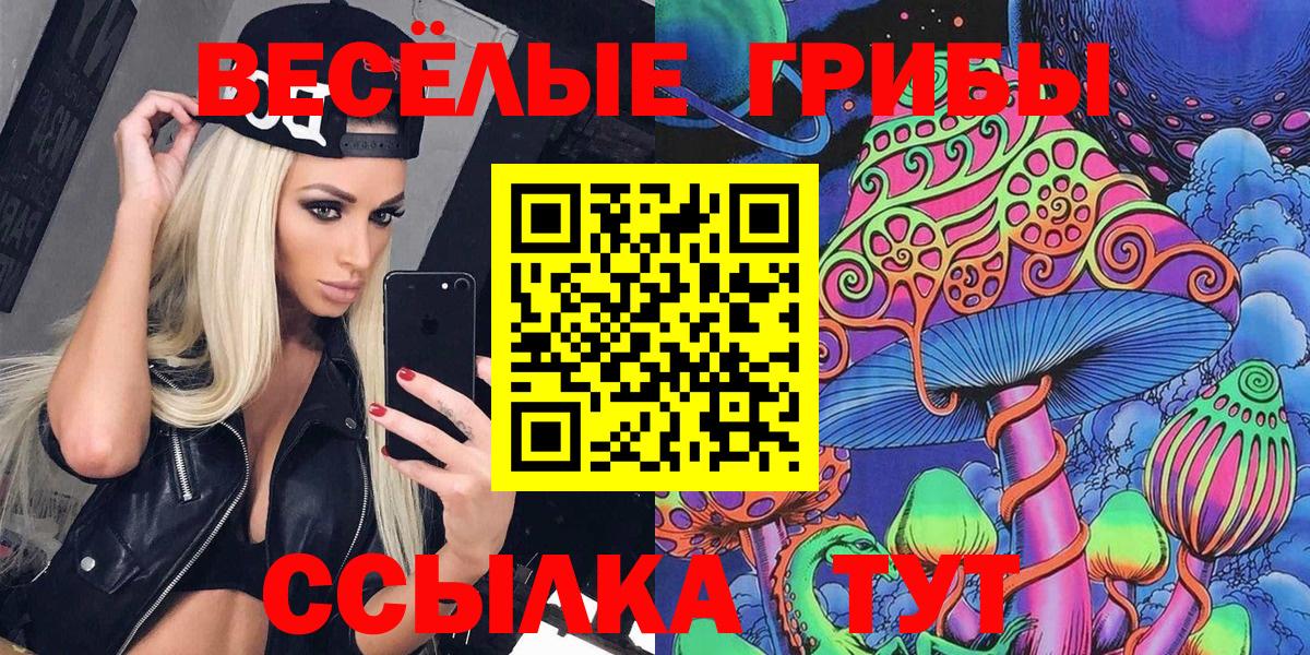 Галлюциногенные грибы мицелий Горячий Ключ